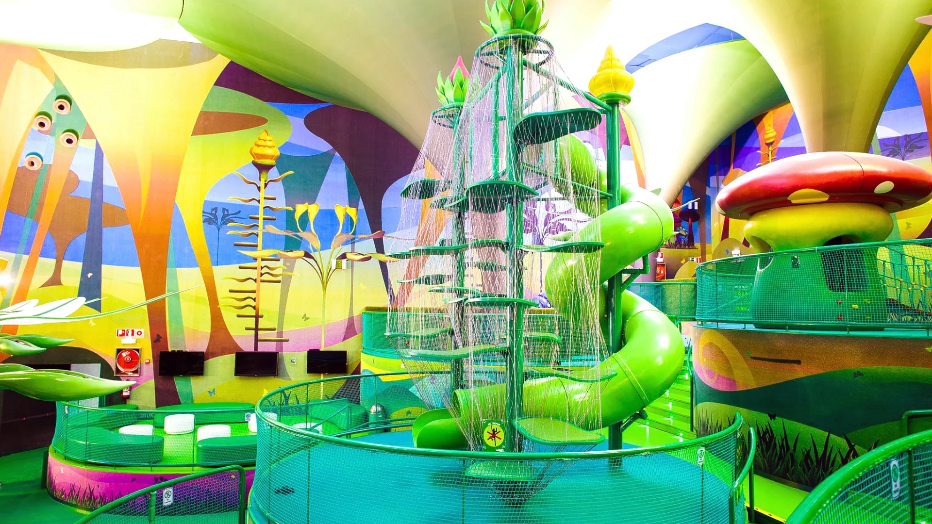 The Magic Forest photo 3