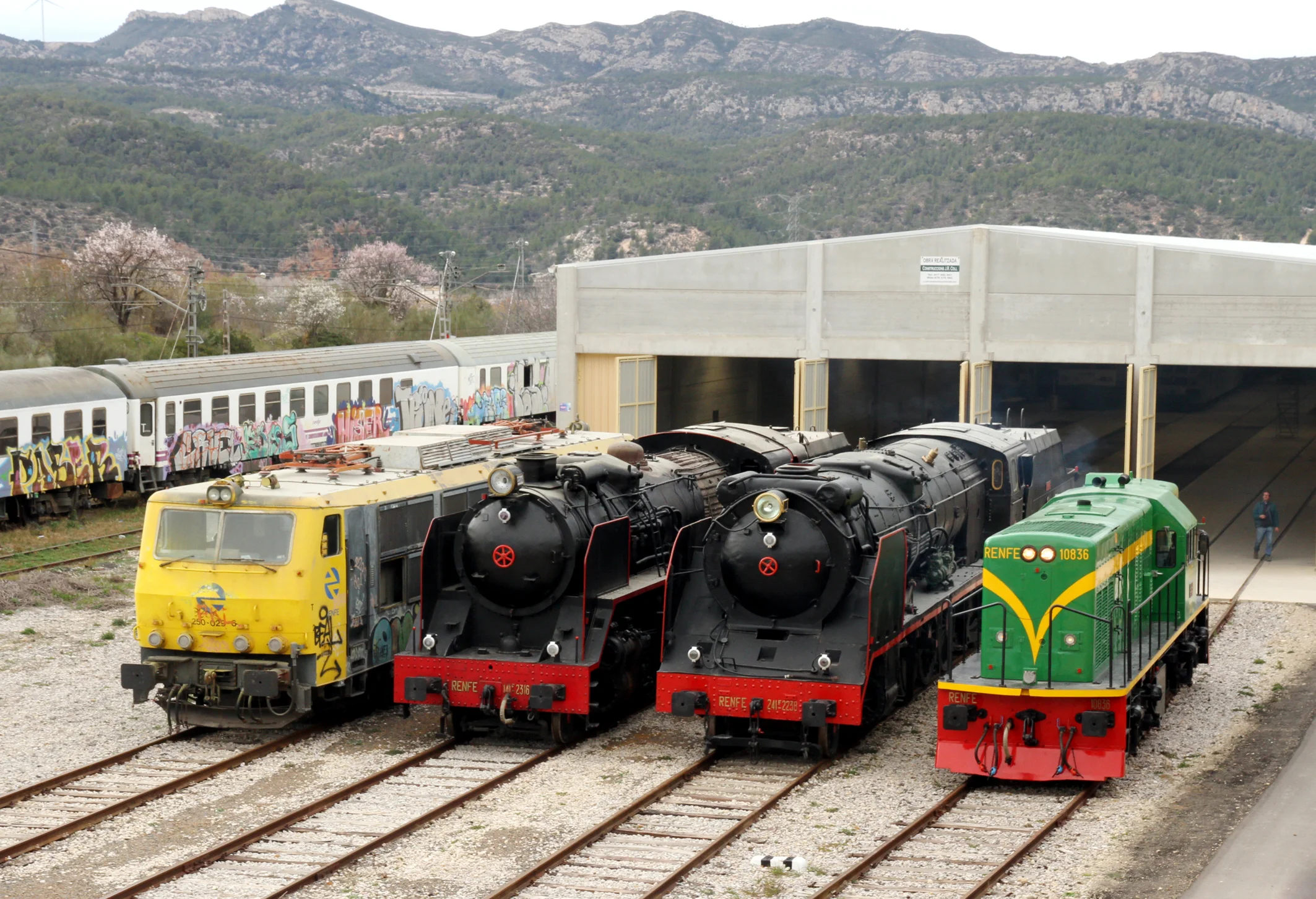 Steam Train with Bohemian Musicians Aboard photo 4