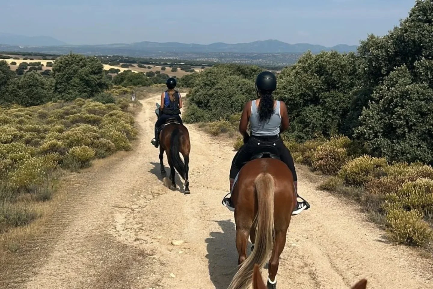 El Madroño Pony Club and Riding School photo 4