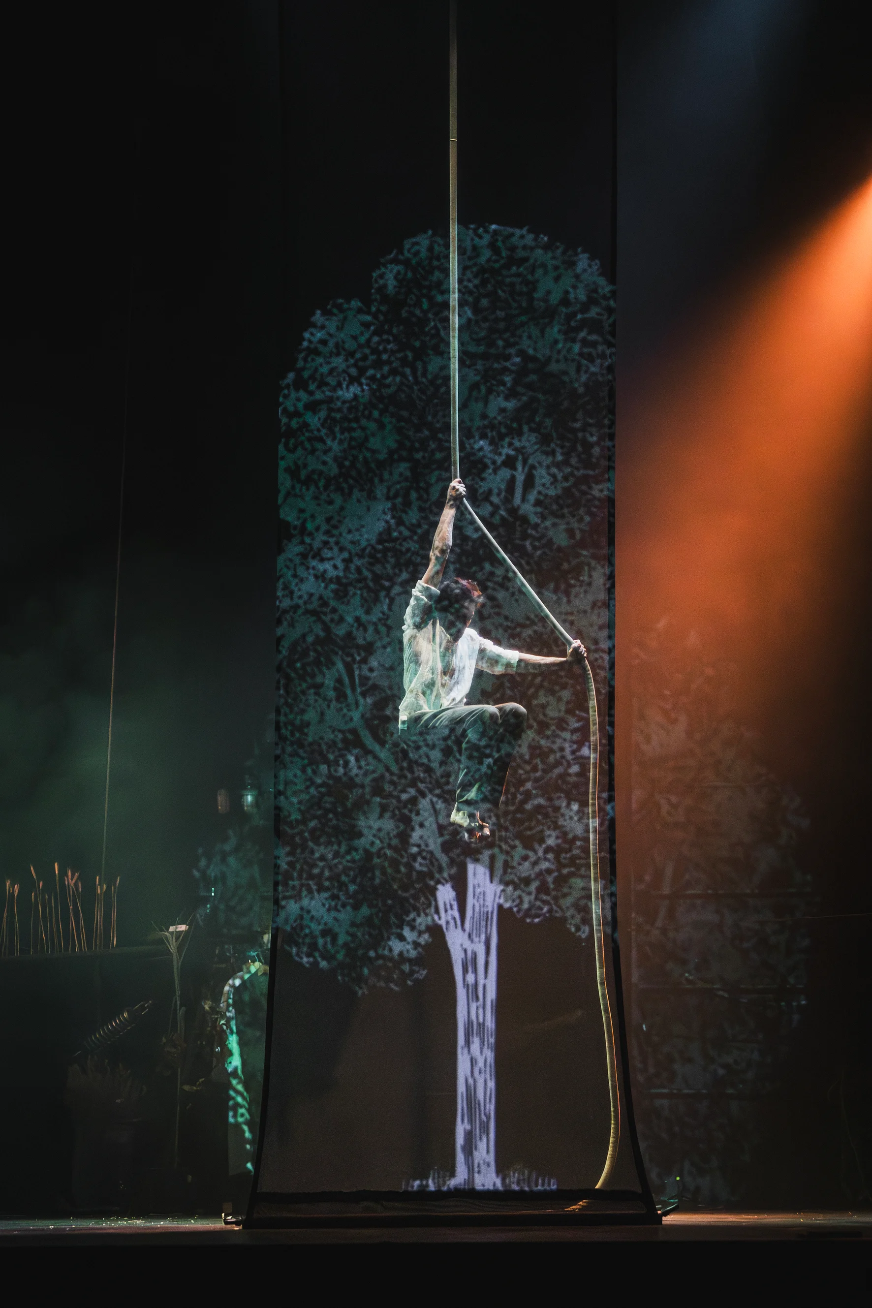 30th Winter Circus with Acrobats and Clowns photo 3