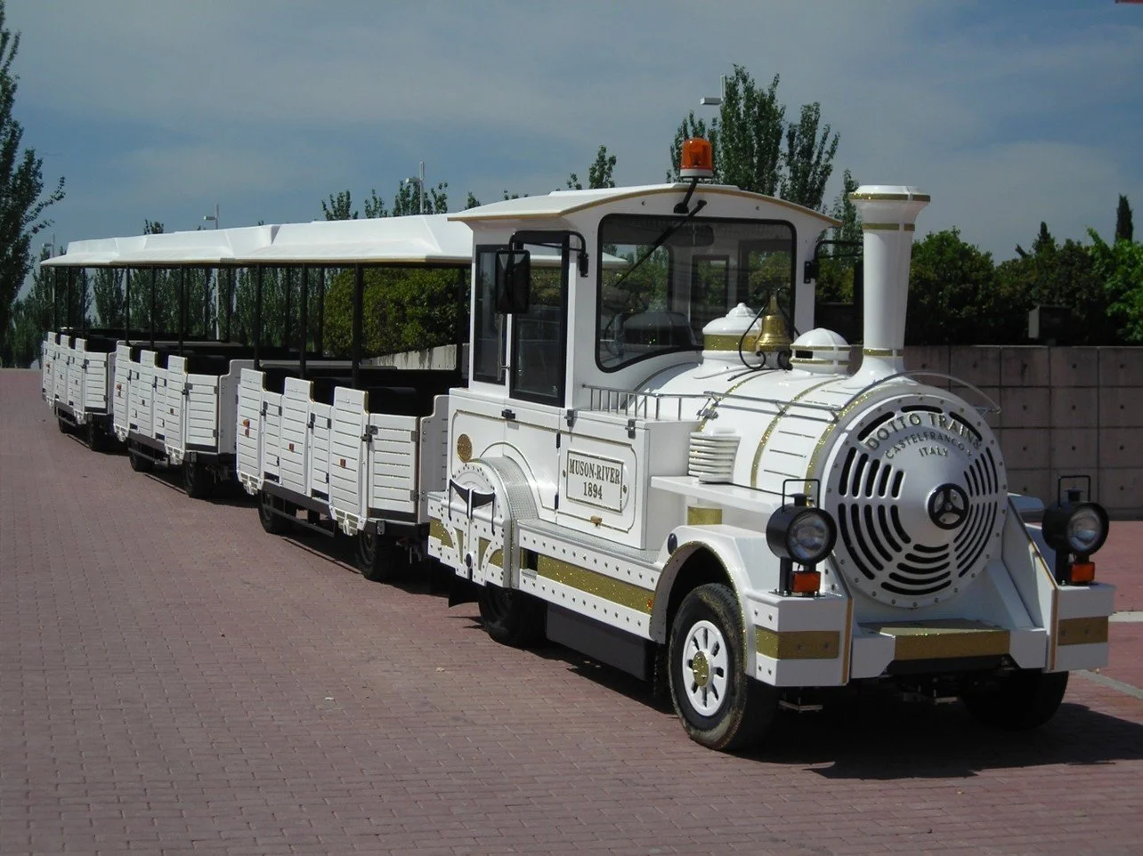 Tren del Parque Juan Carlos I photo 2