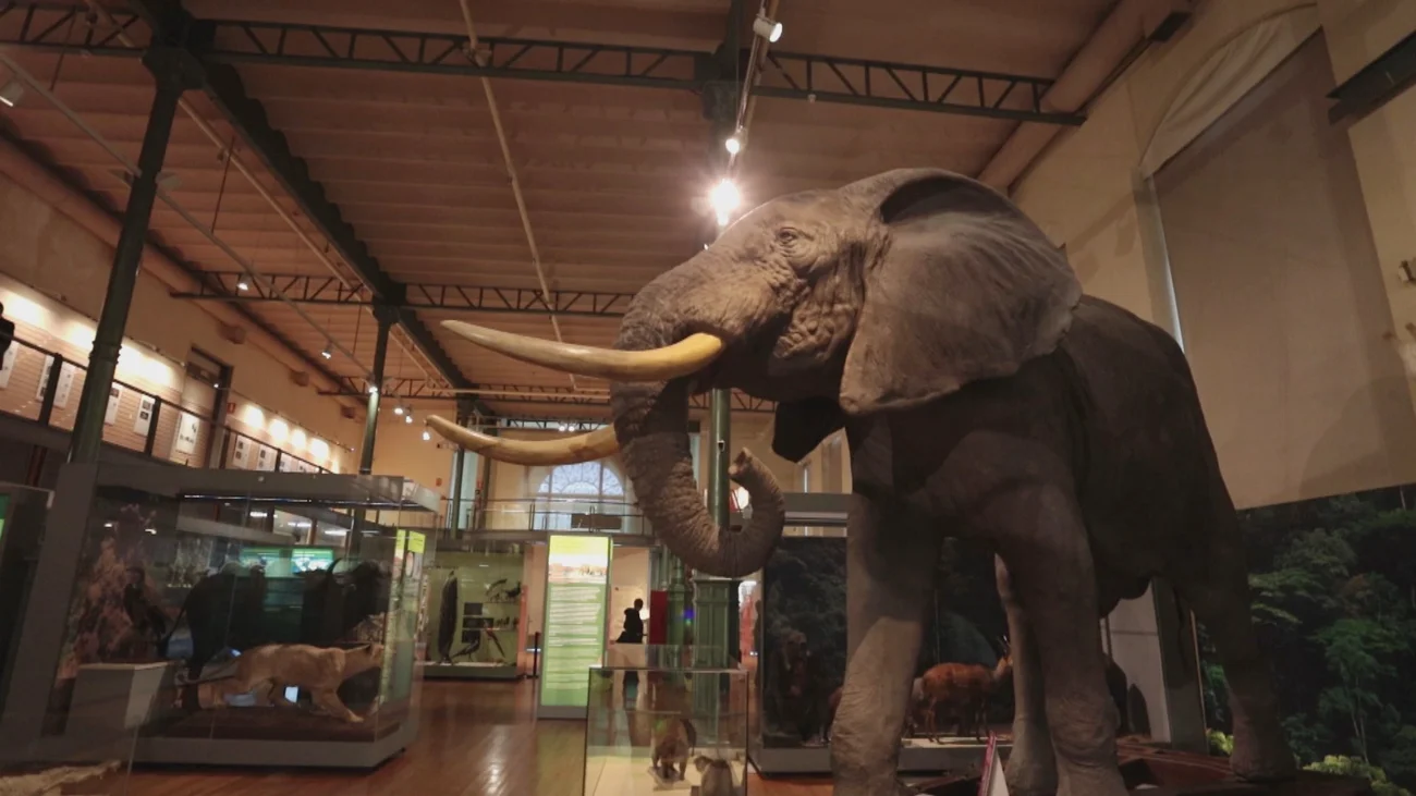 Museo Nacional de Ciencias Naturales photo 4