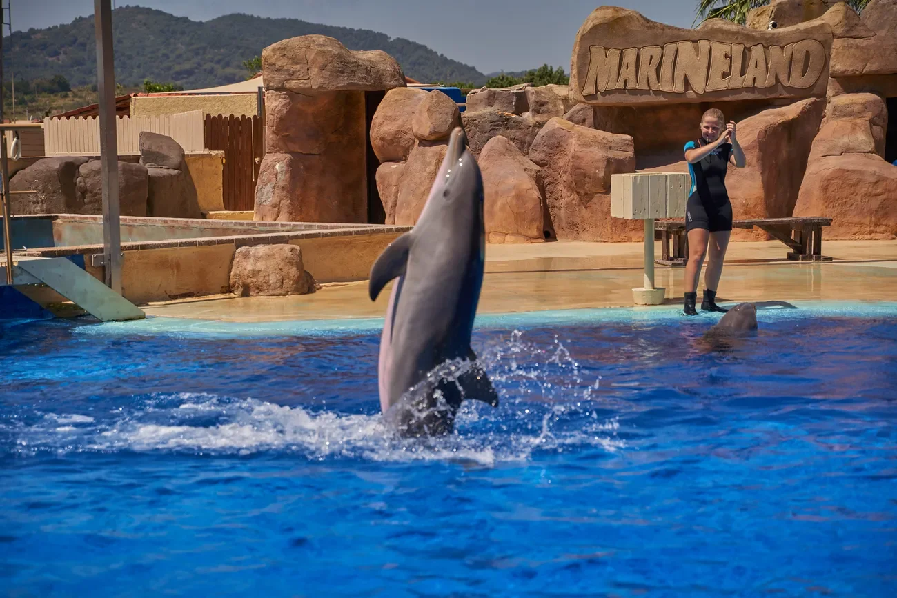Marineland Catalunya photo 5