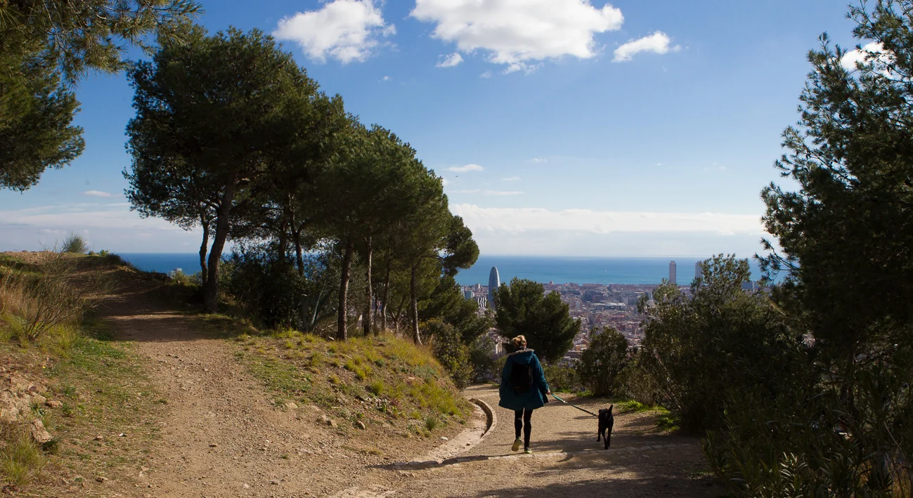 Parc del Guinardó photo 3