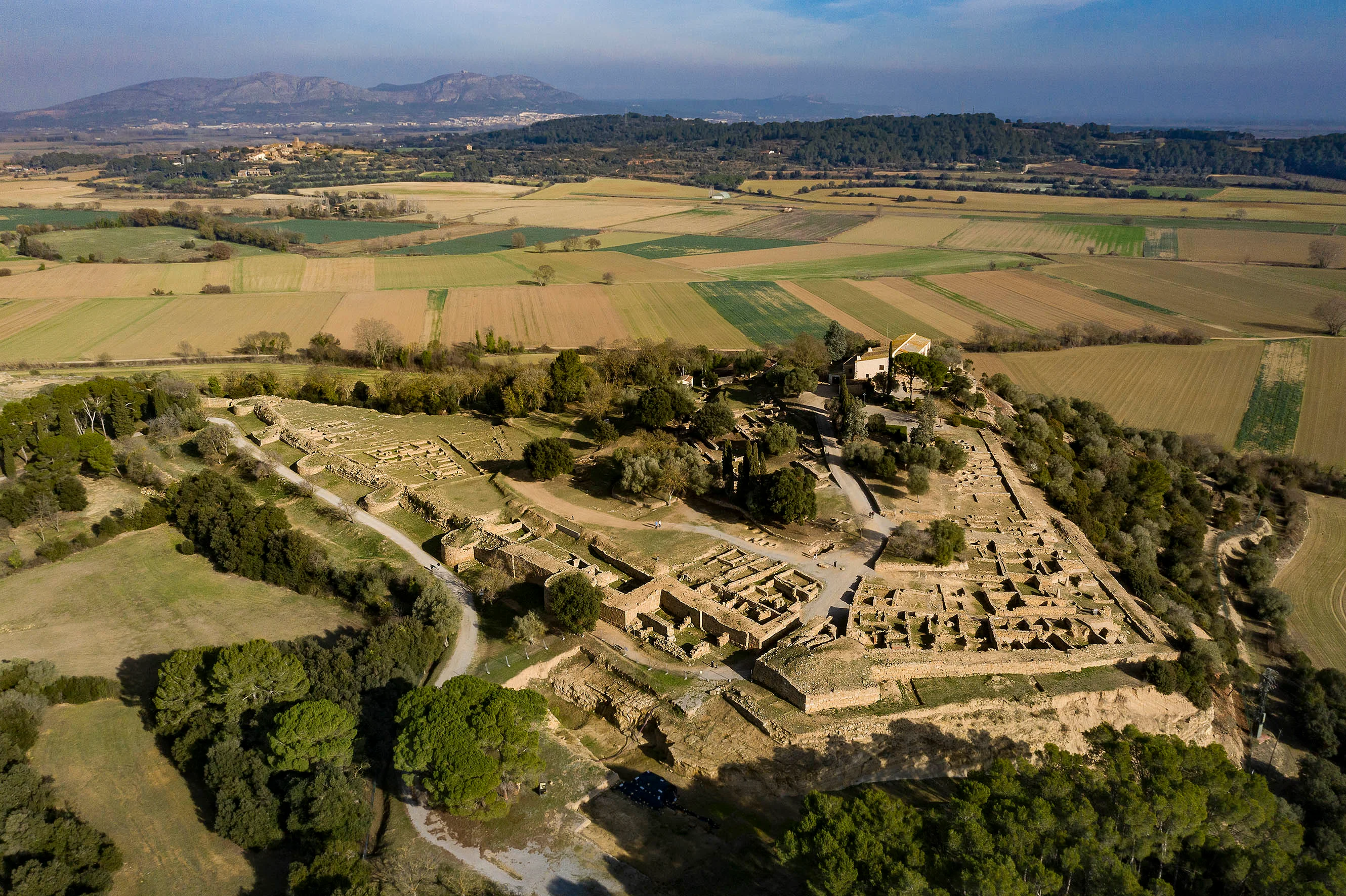 Discover Iberian Fauna and Flora at Ullastret photo 1