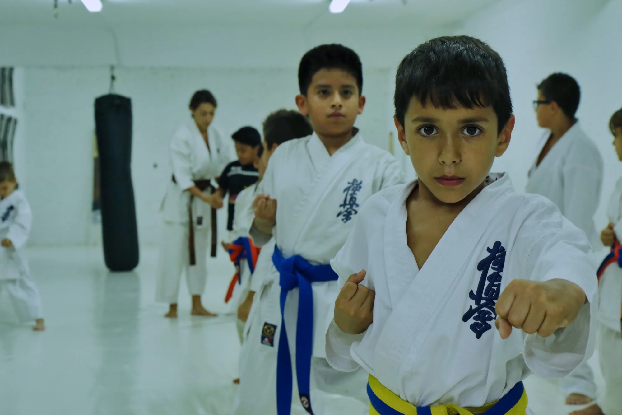 Judo, karate and BJJ kids classes photo 2