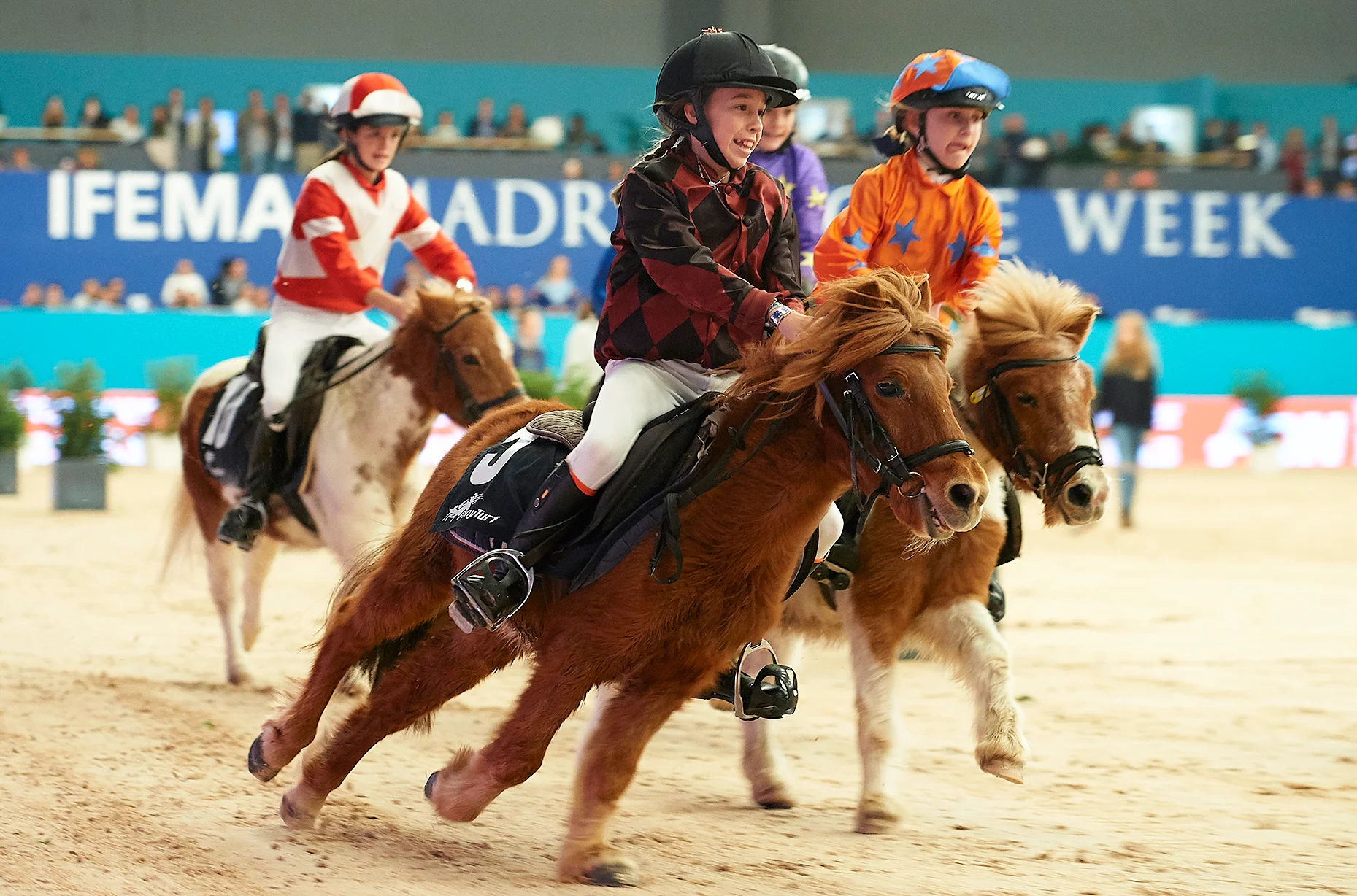 Mutua Madrid Horse Week: Show Jumping, Pony Races and a Horse Hall photo 2