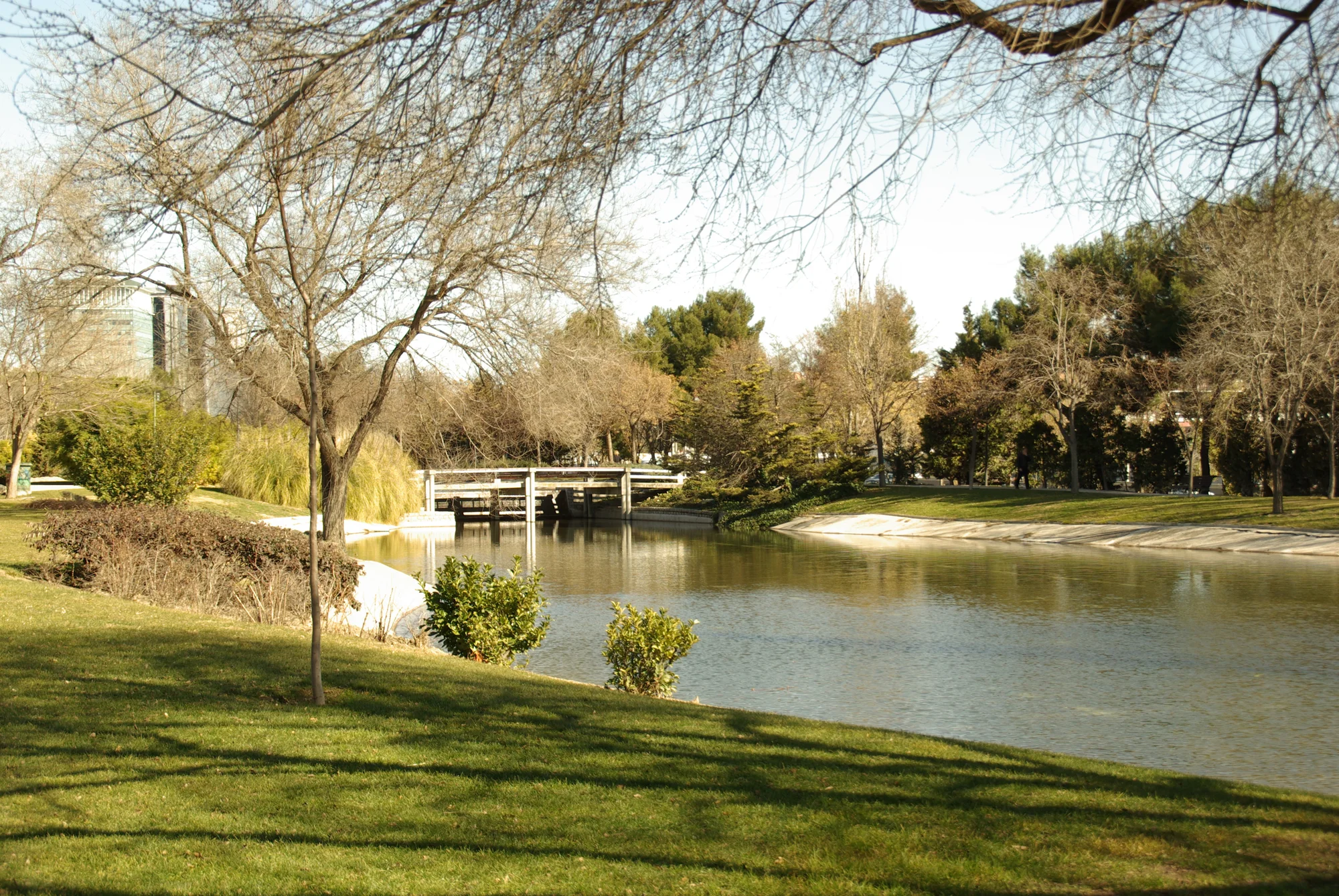 Parque Enrique Tierno Galván photo 3
