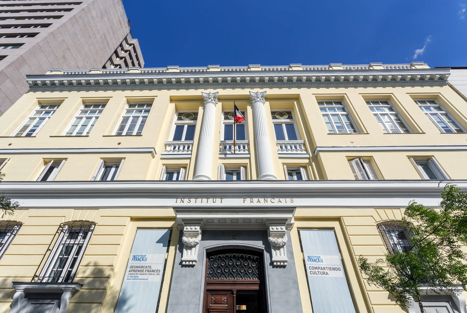 Institut français French for Kids and Teens photo 4