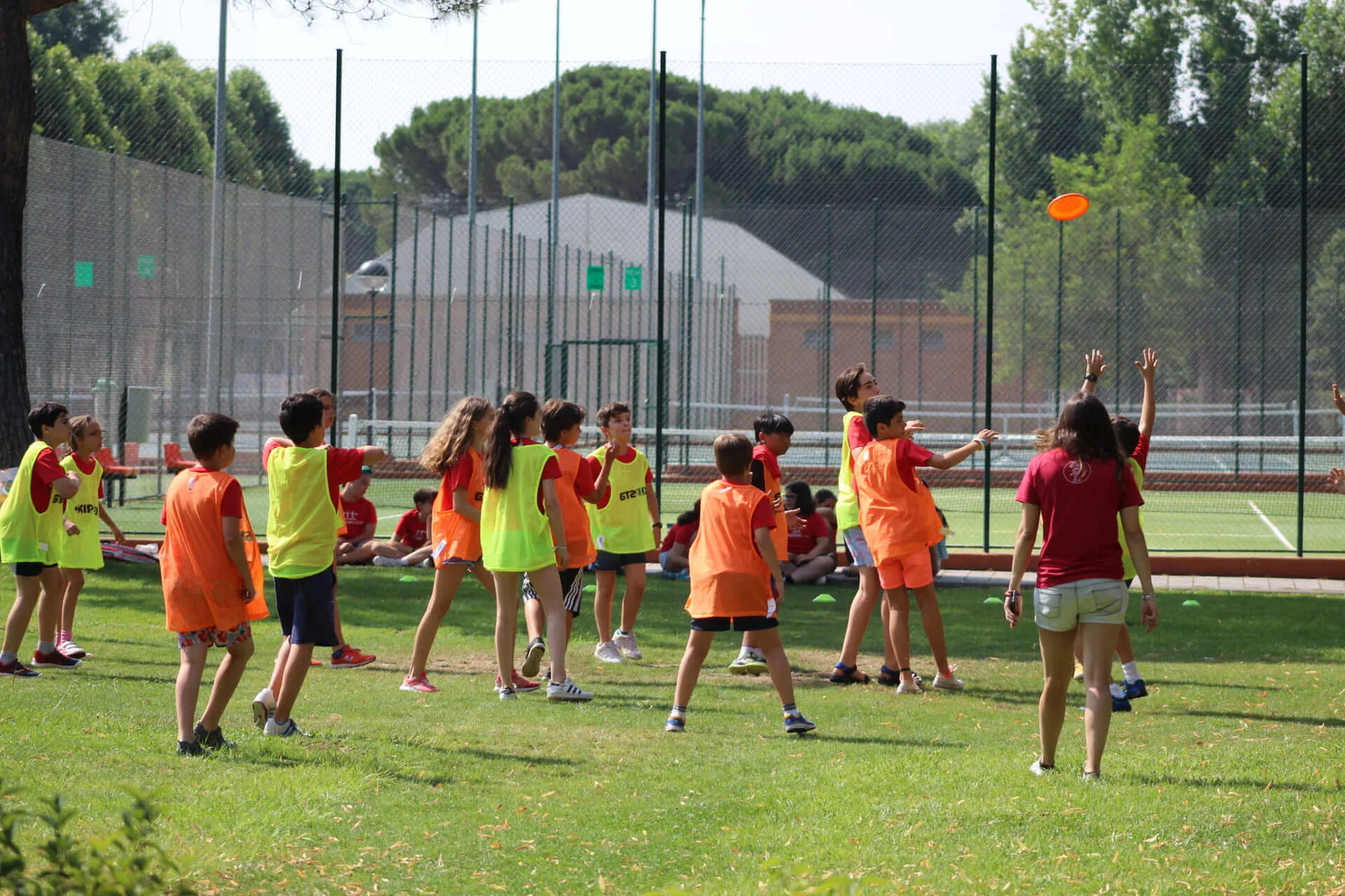 Campamontes: Summer Day Camp in El Pardo photo 3