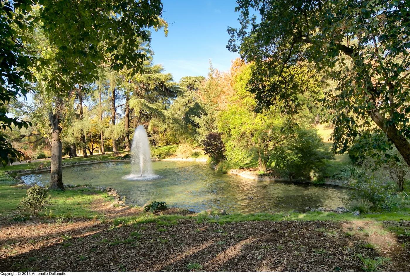Parque del Oeste photo 1