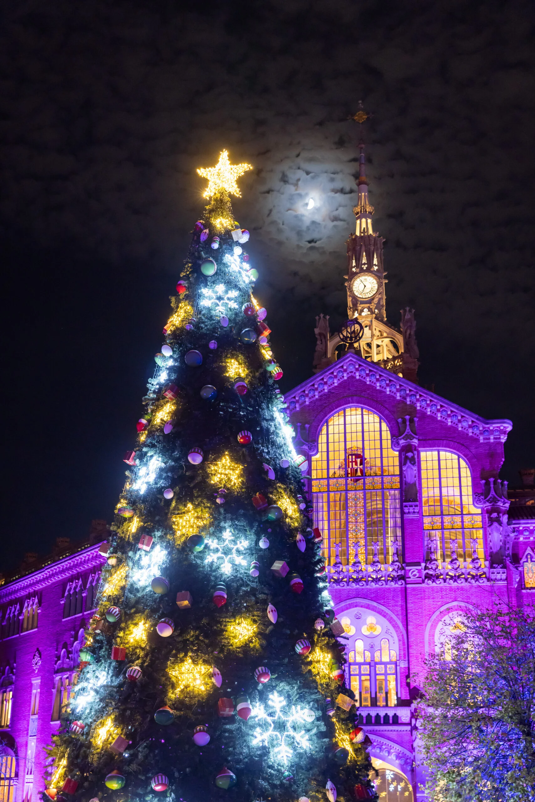 Els Llums de Sant Pau Christmas Light Trail photo 3