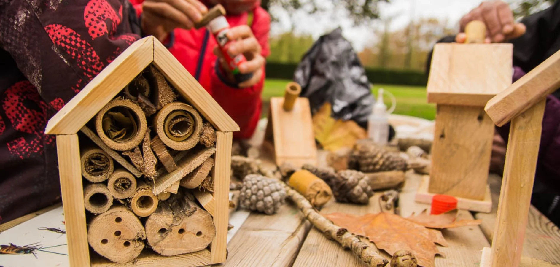 Build Insect Hotels with Natural Materials photo 2