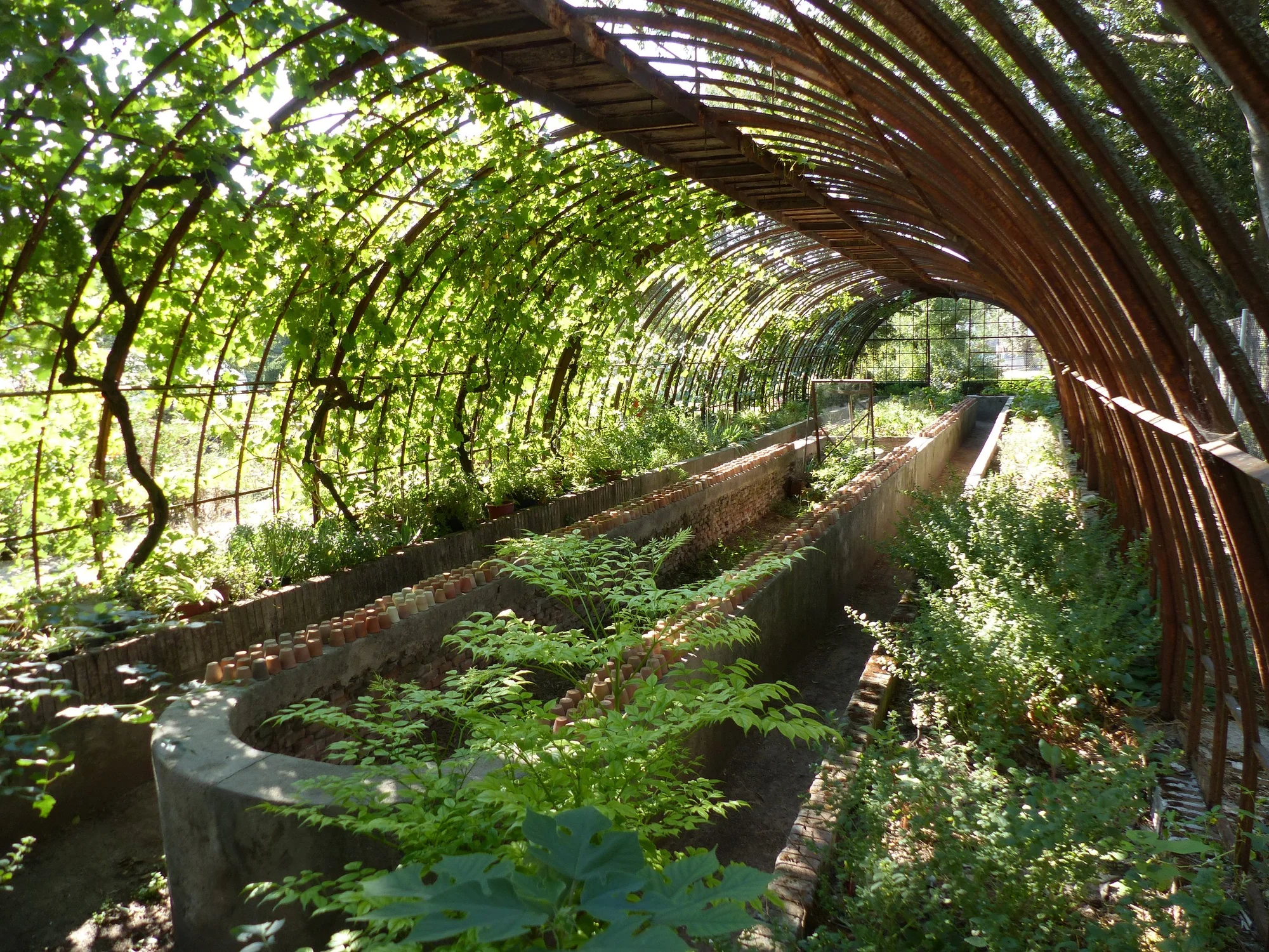 Quinta de Torre Arias photo 3