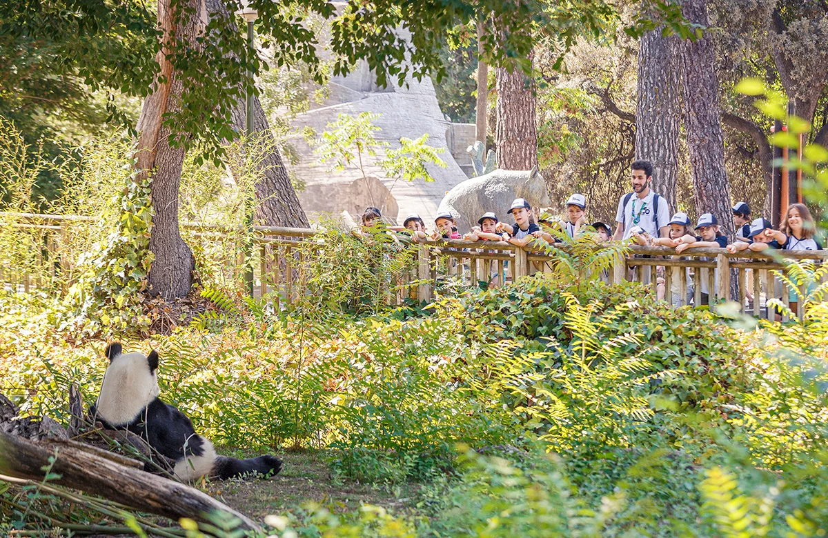 Campamento de Navidad Zoo Aquarium photo 5