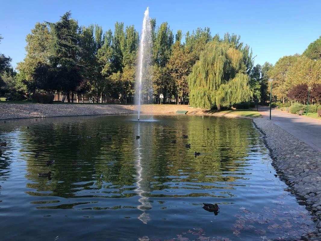 Parque de las Cárcavas photo 3