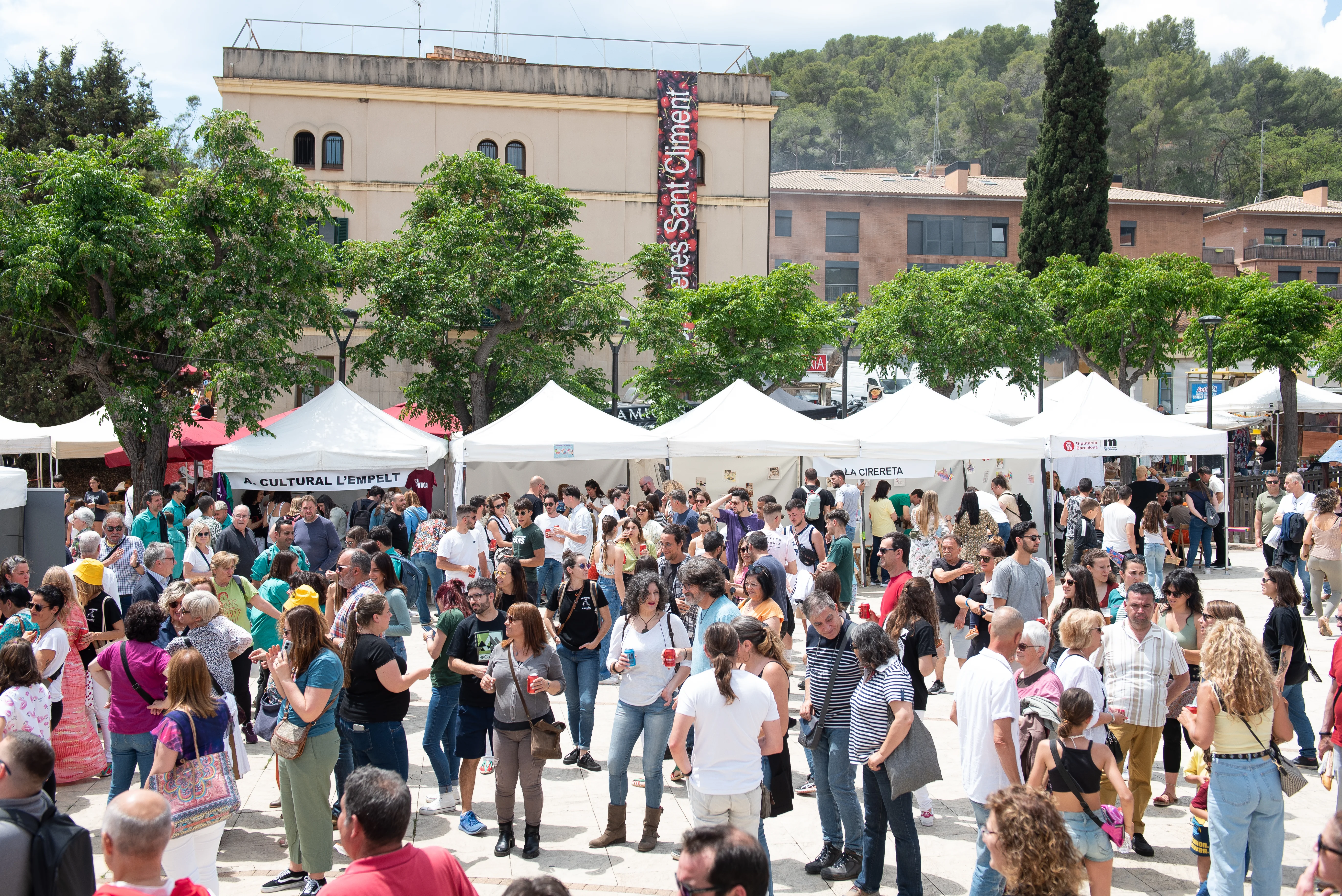 Cherry Harvest Festival in a Village photo 5