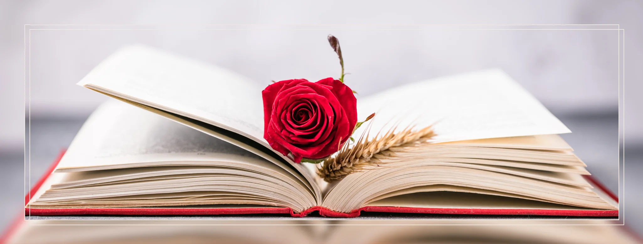 Sant Jordi: Meet Children's Book Authors on Las Ramblas photo 3