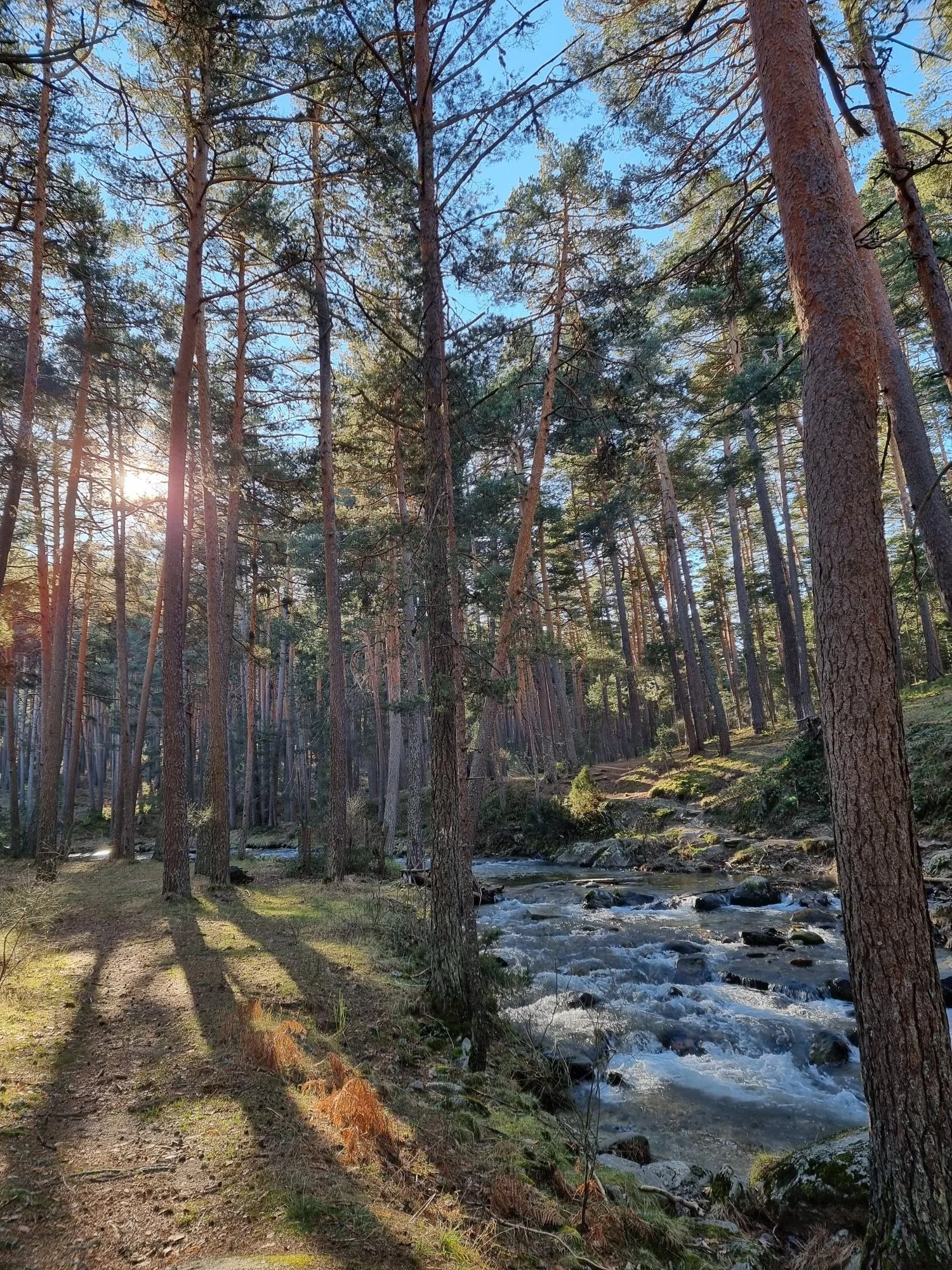 28 Free Fall Hikes in Sierra de Guadarrama photo 3