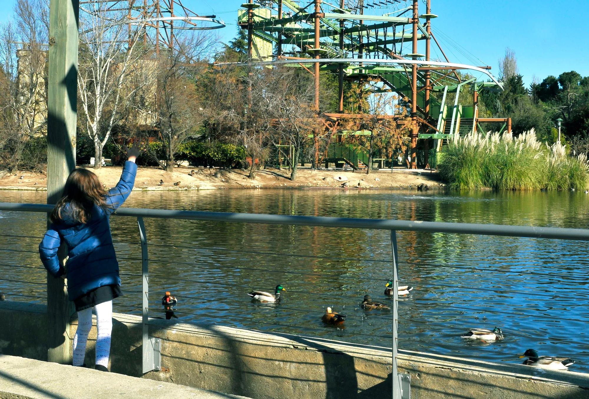 Faunia photo 6