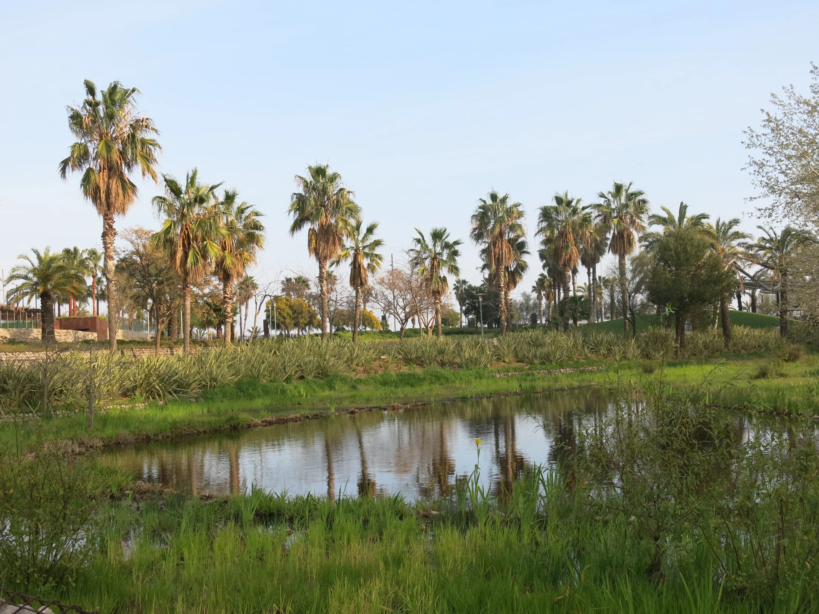 Parc de Diagonal Mar photo 3