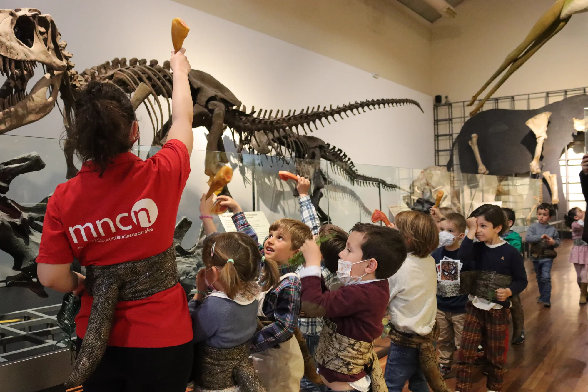 Dinosaur Sleepover at the Museo Nacional de Ciencias Naturales photo 3