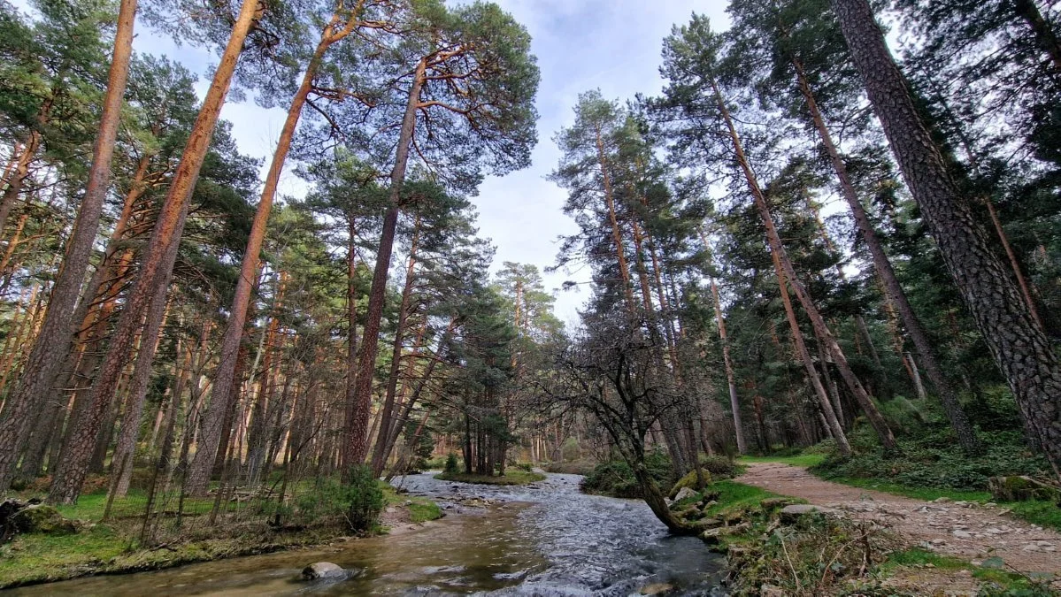 28 Free Fall Hikes in Sierra de Guadarrama photo 5