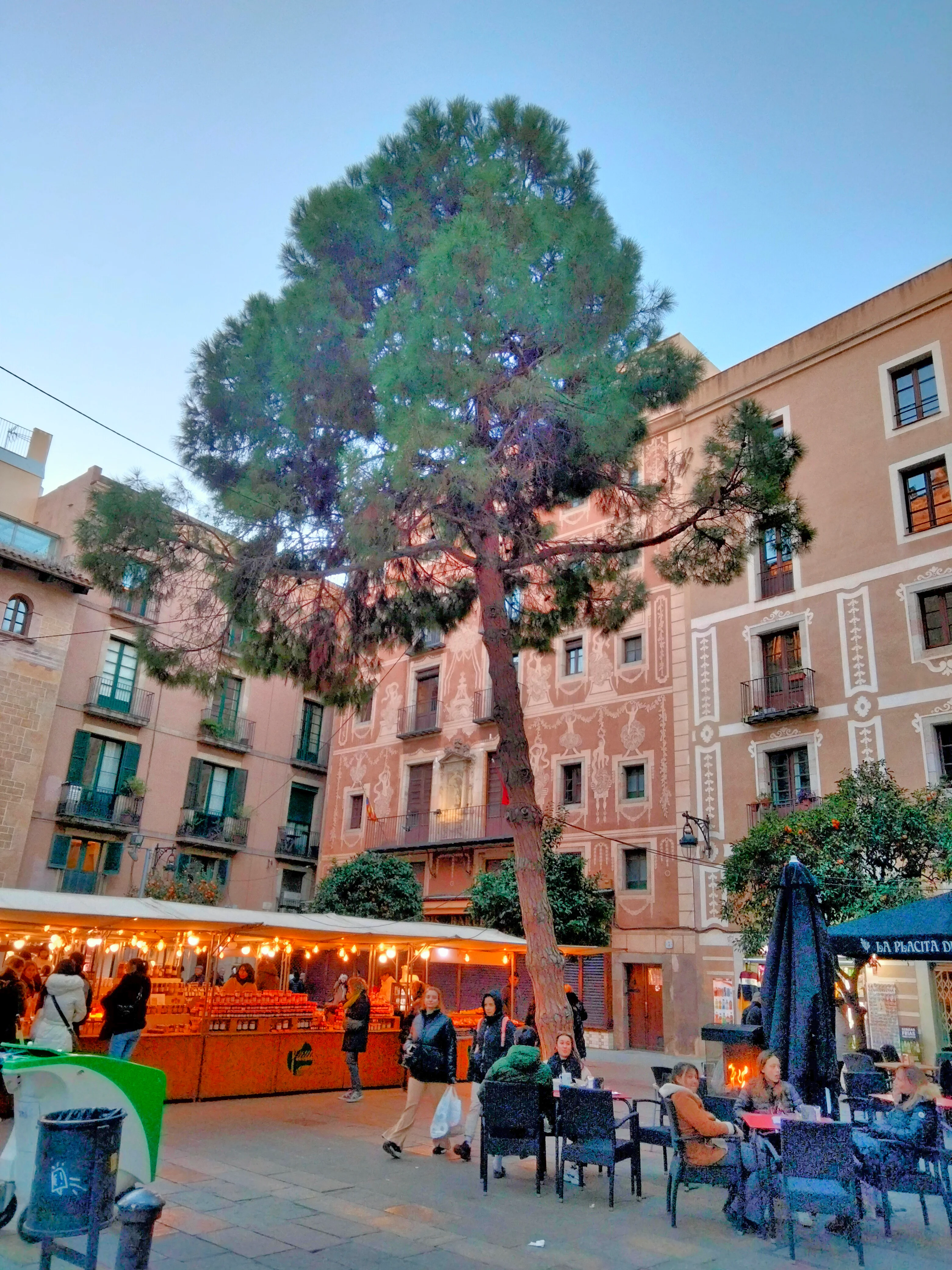 Plaça del Pi photo 3