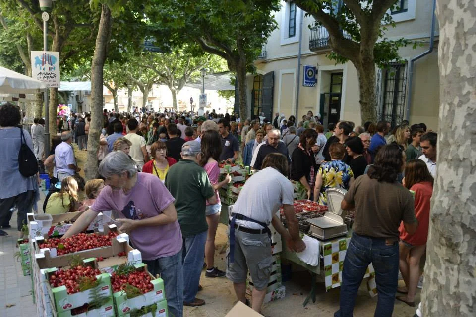 Taste Cherry Dishes at the Harvest Fair photo 4