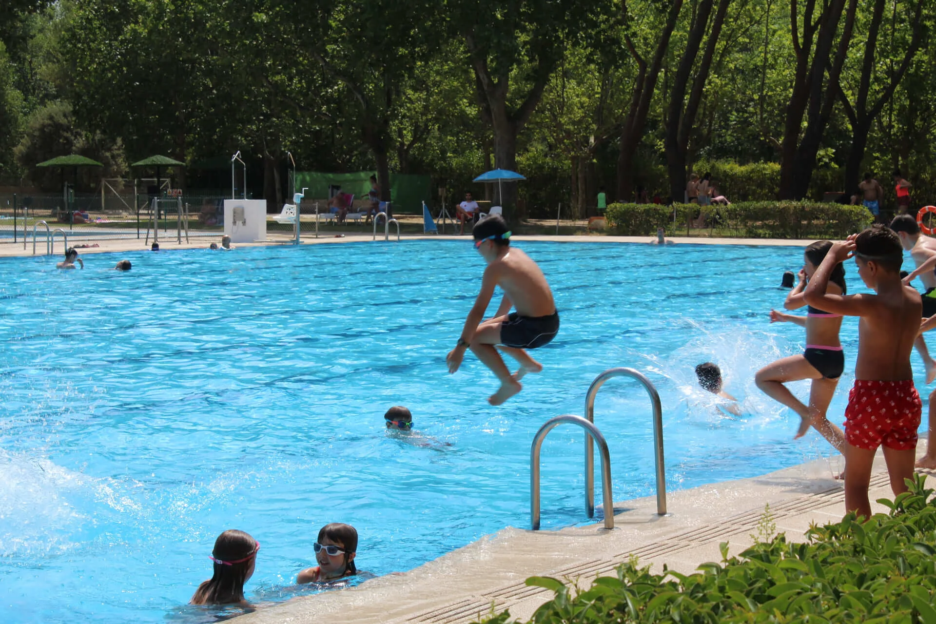 Campamontes: Summer Day Camp in El Pardo photo 2