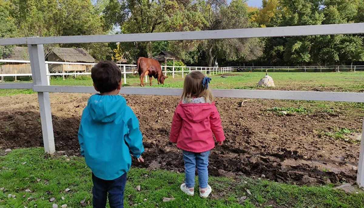 Hábitat Madrid: Free Fall Nature Activities in City Parks photo 3
