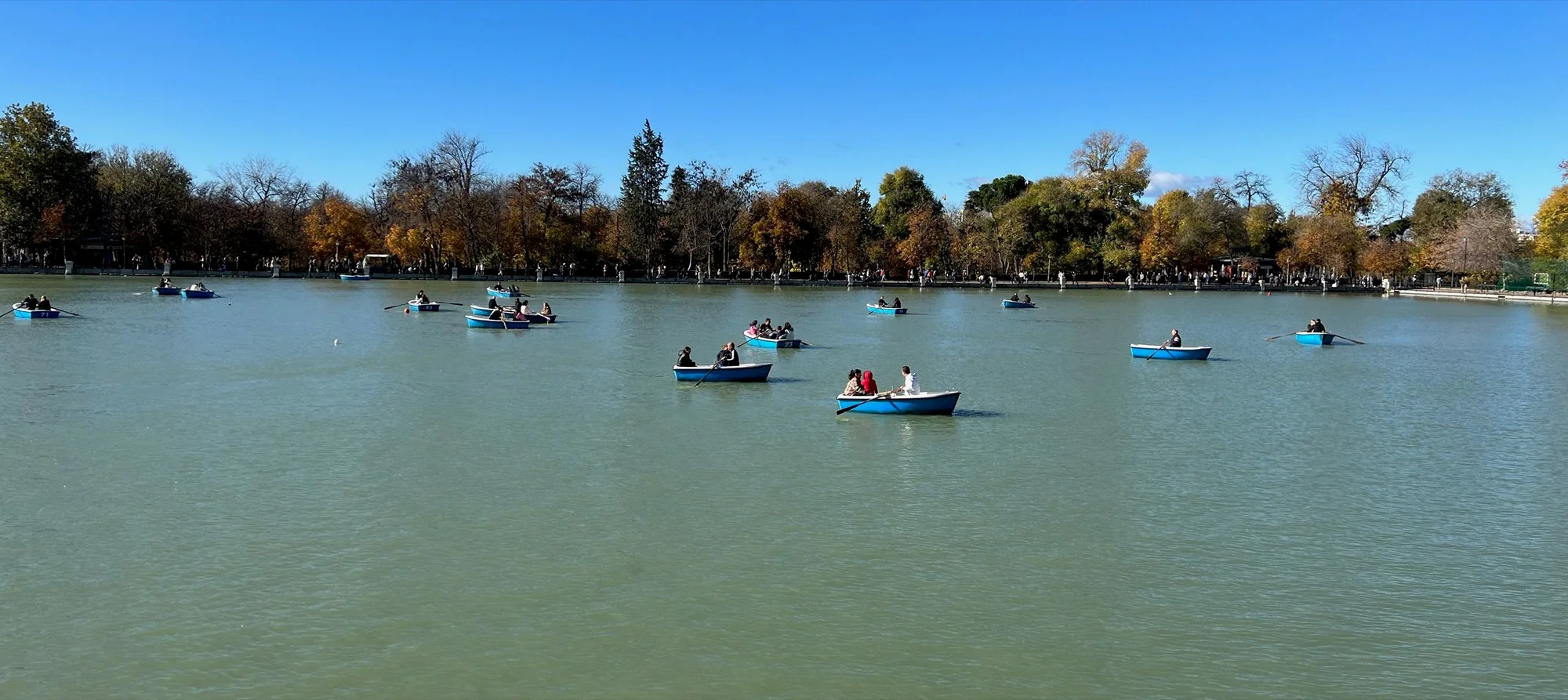 Barcas del Retiro photo 4