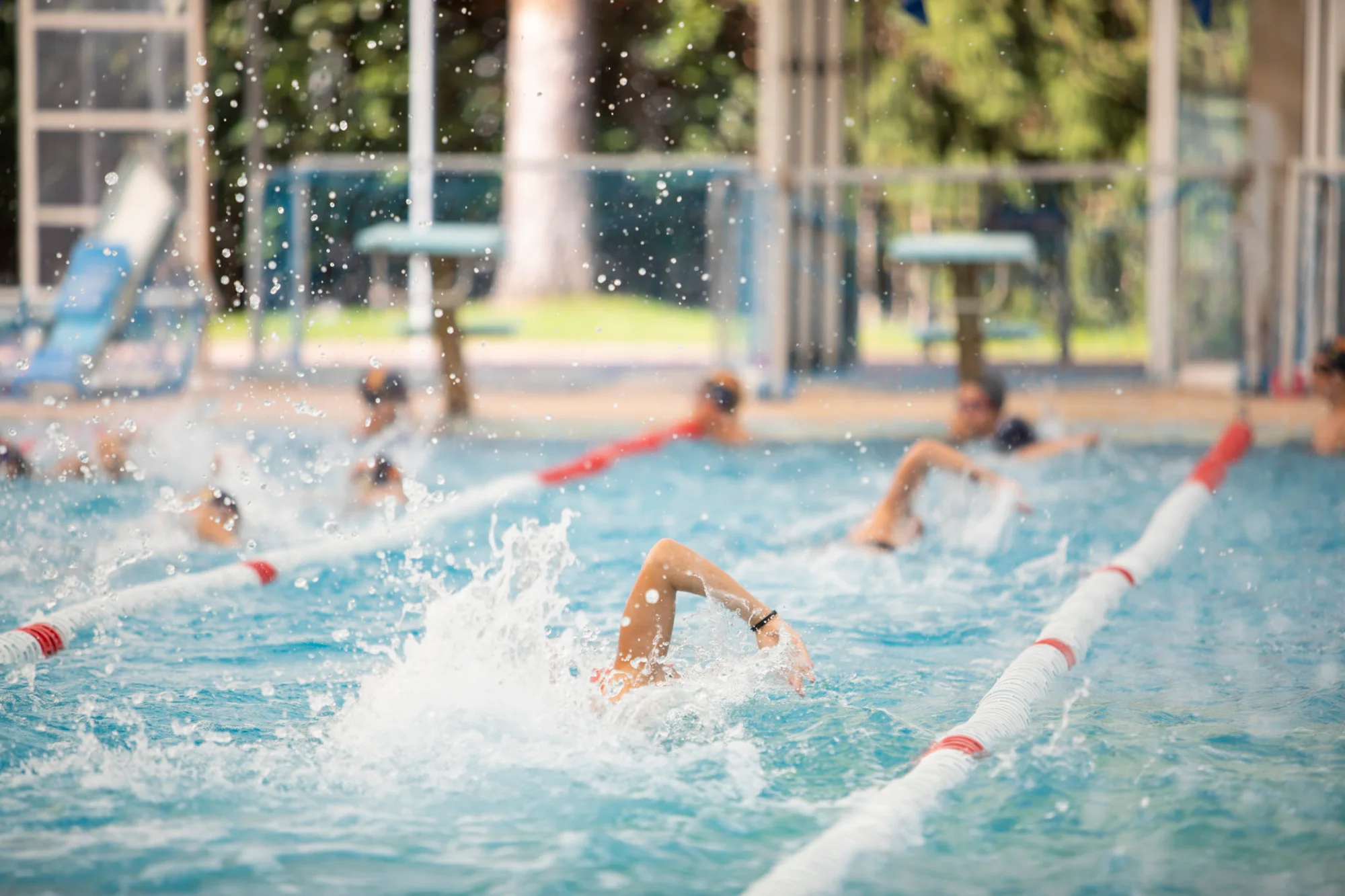 Brains Swim School La Moraleja photo 2