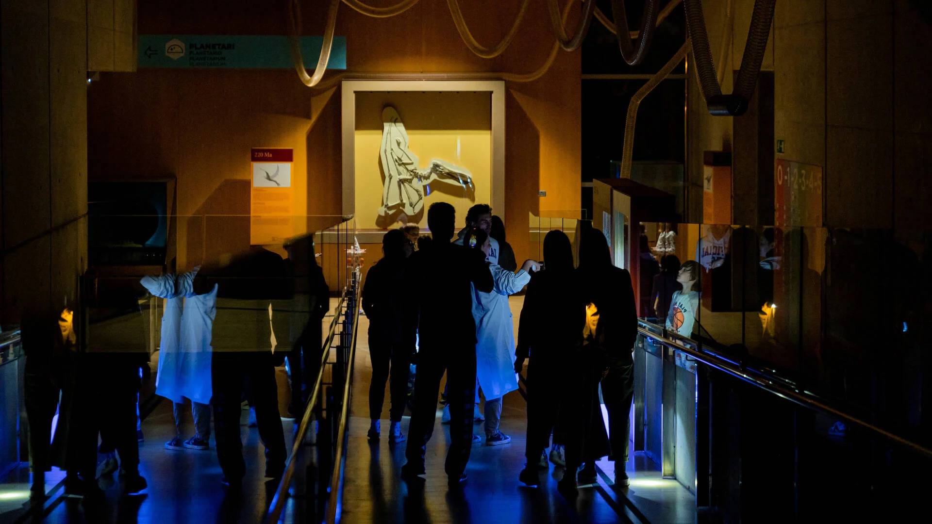Sleep at the Museum Among Aliens photo 3