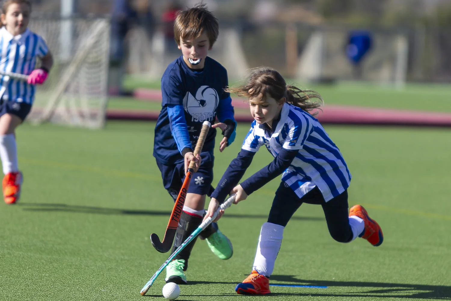 Casal Nadal Multiesport photo 1