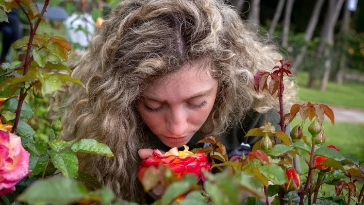 Floral Face Paint at the Rose Competition photo 3