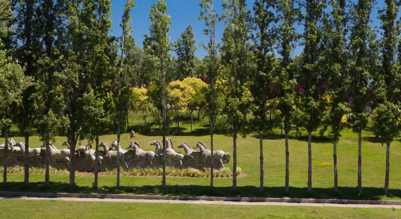 Free Family Games in a Lakeside Amphitheater photo 3