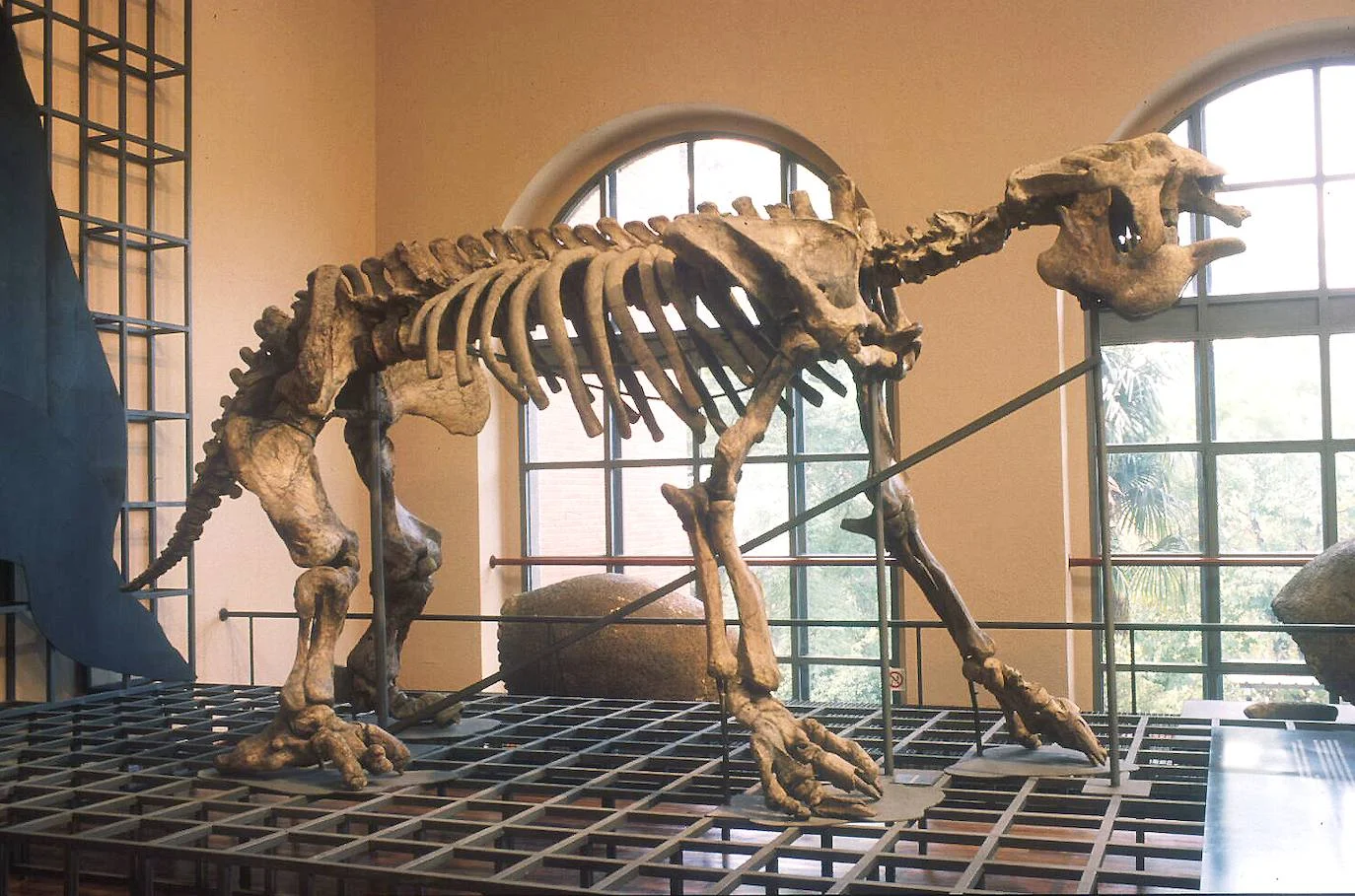Museo Nacional de Ciencias Naturales photo 5