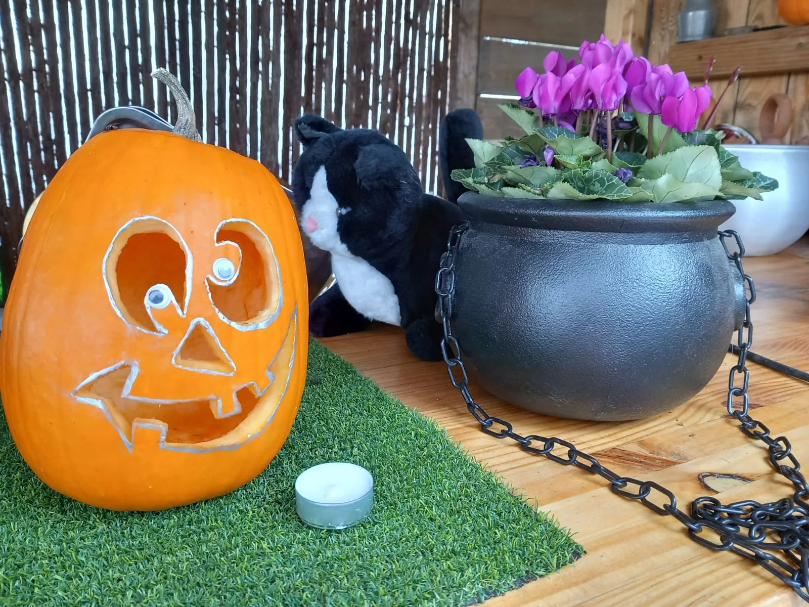 Halloween Pumpkin Carving at Mi Jardín Ibérico photo 1
