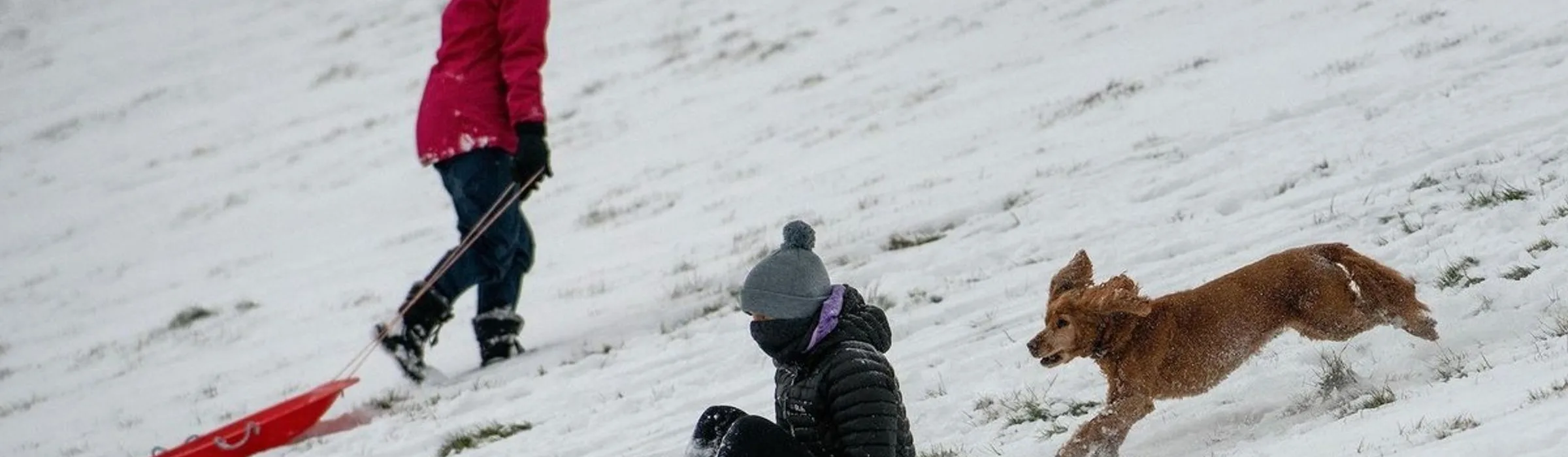Snow and Sledding Near Madrid