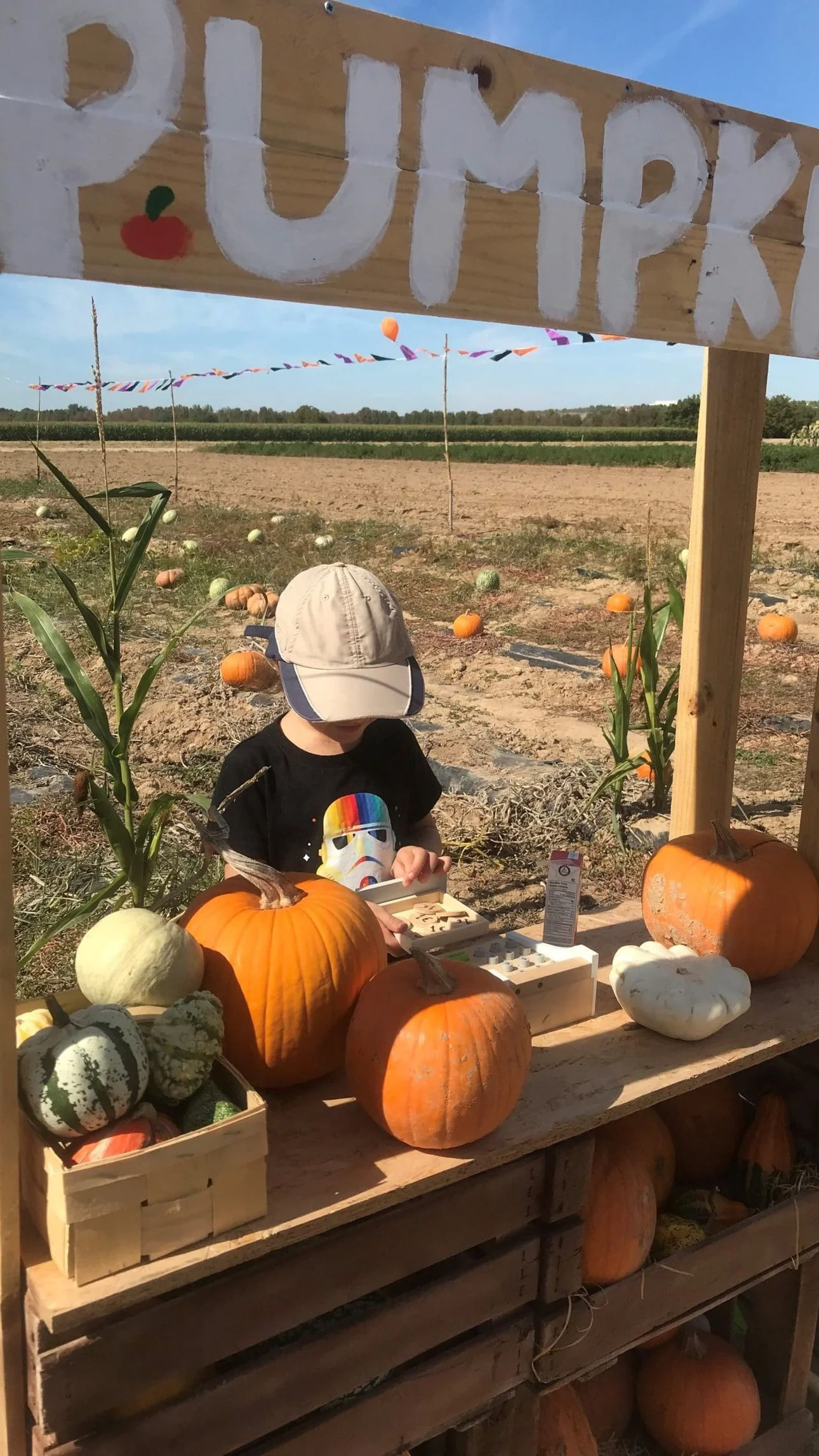 Pumpkin Patches near Madrid
